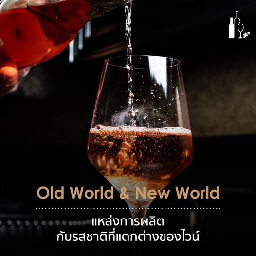 แหล่งการผลิตไวน์ | รสชาติของไวน์ | Universal Fine Wine and Spirits | ufws | ไวน์โลกเก่าและไวน์โลกใหม่ | Old World wine and New World wine